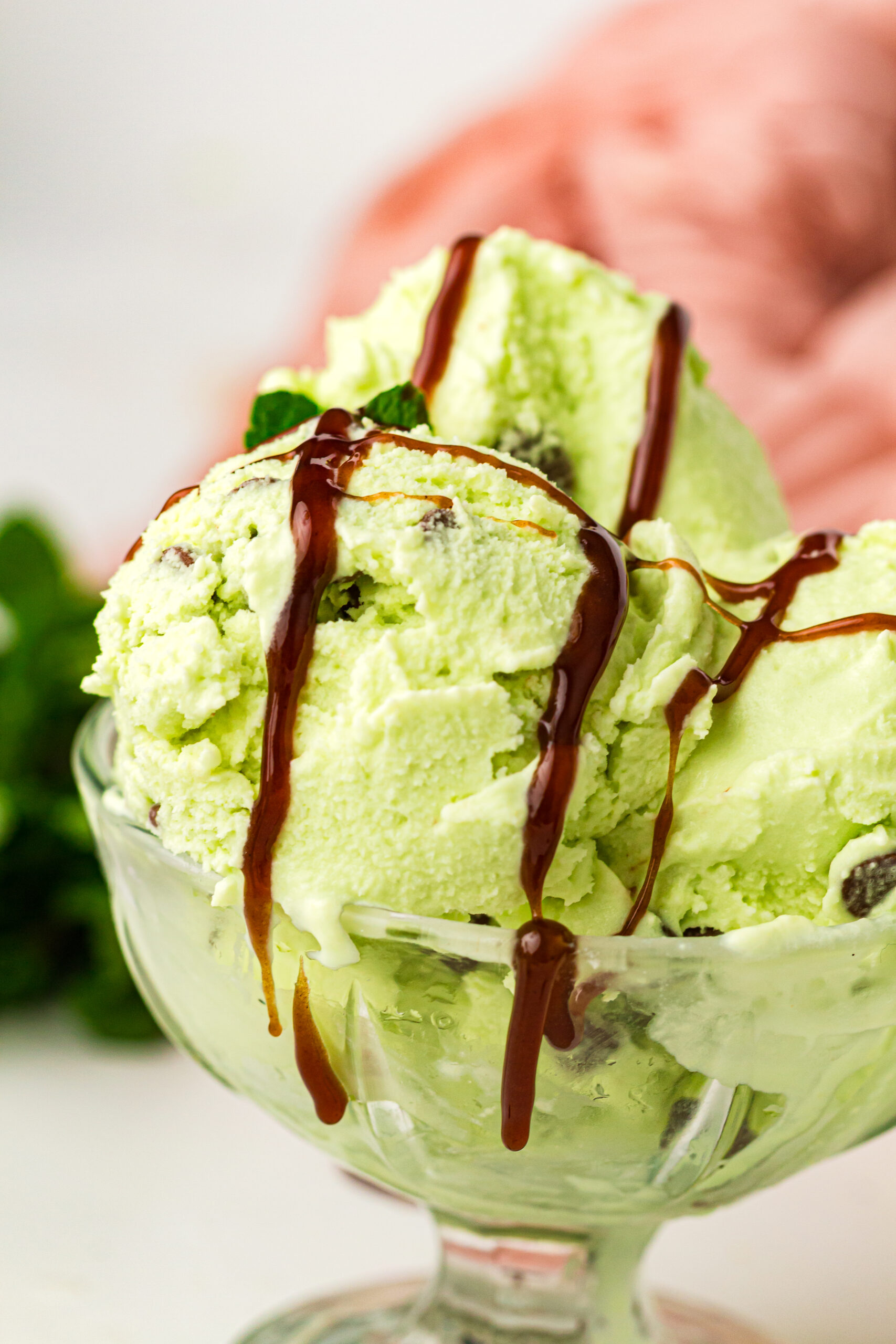 Close-up of a clear glass dessert bowl filled with scoops of light green mint chocolate chip ice cream, drizzled with dark chocolate syrup and garnished with fresh mint leaves, set against a softly blurred background with muted tones.