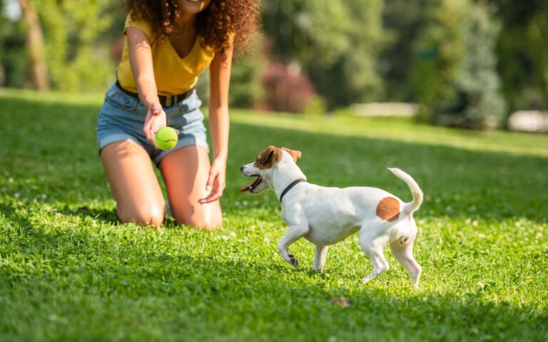 21 Fun Things to do on a Sunday for a Perfect Weekend